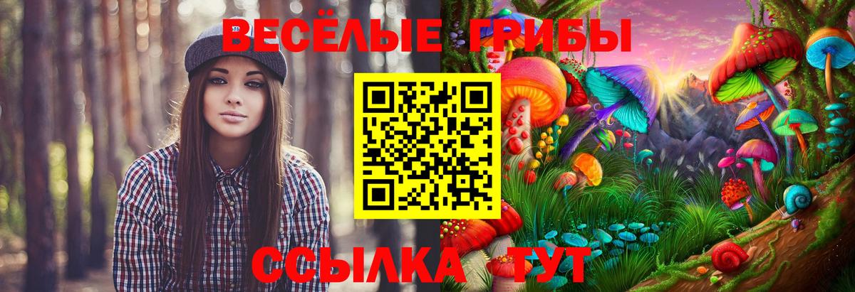 Кемерово  Псилоцибиновые грибы мицелий  Вход с VPN  Псилоцибиновые грибы Psilocybine cubensis 